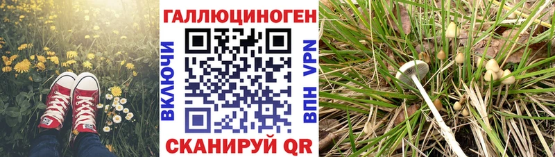 дарнет шоп  Вичуга  сайты даркнета как зайти  Псилоцибиновые грибы прущие грибы 